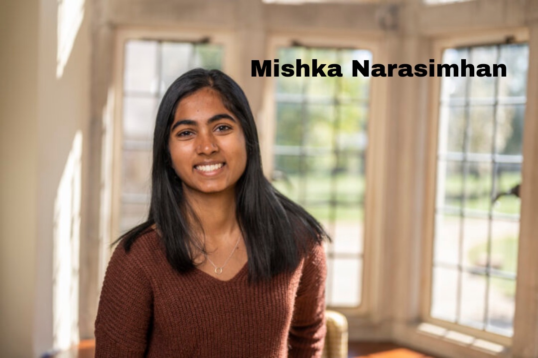 Mishka Narasimhan